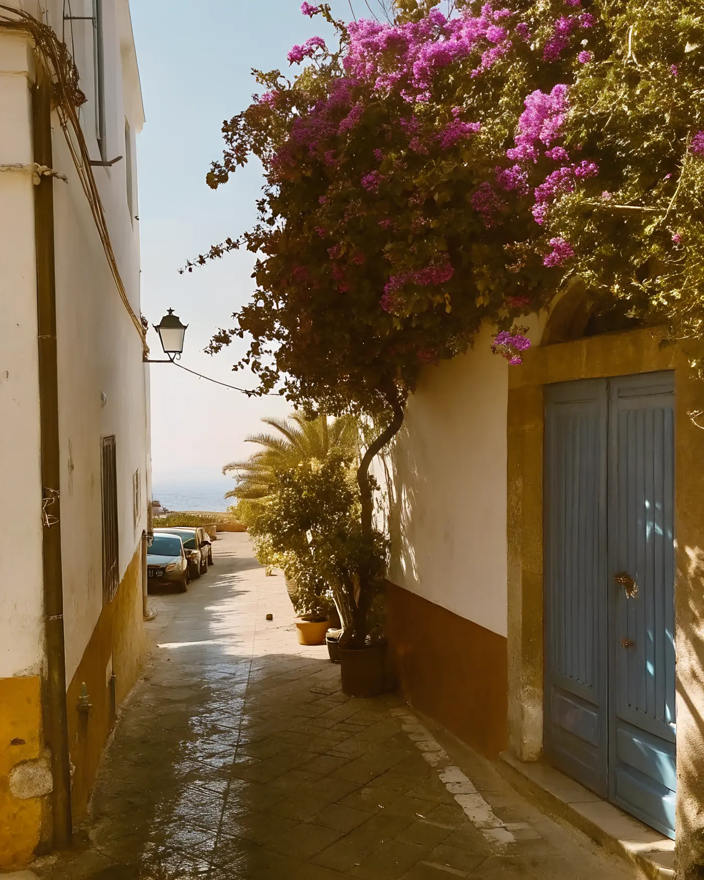 A Tropea alley with bougainvillea and a blue door