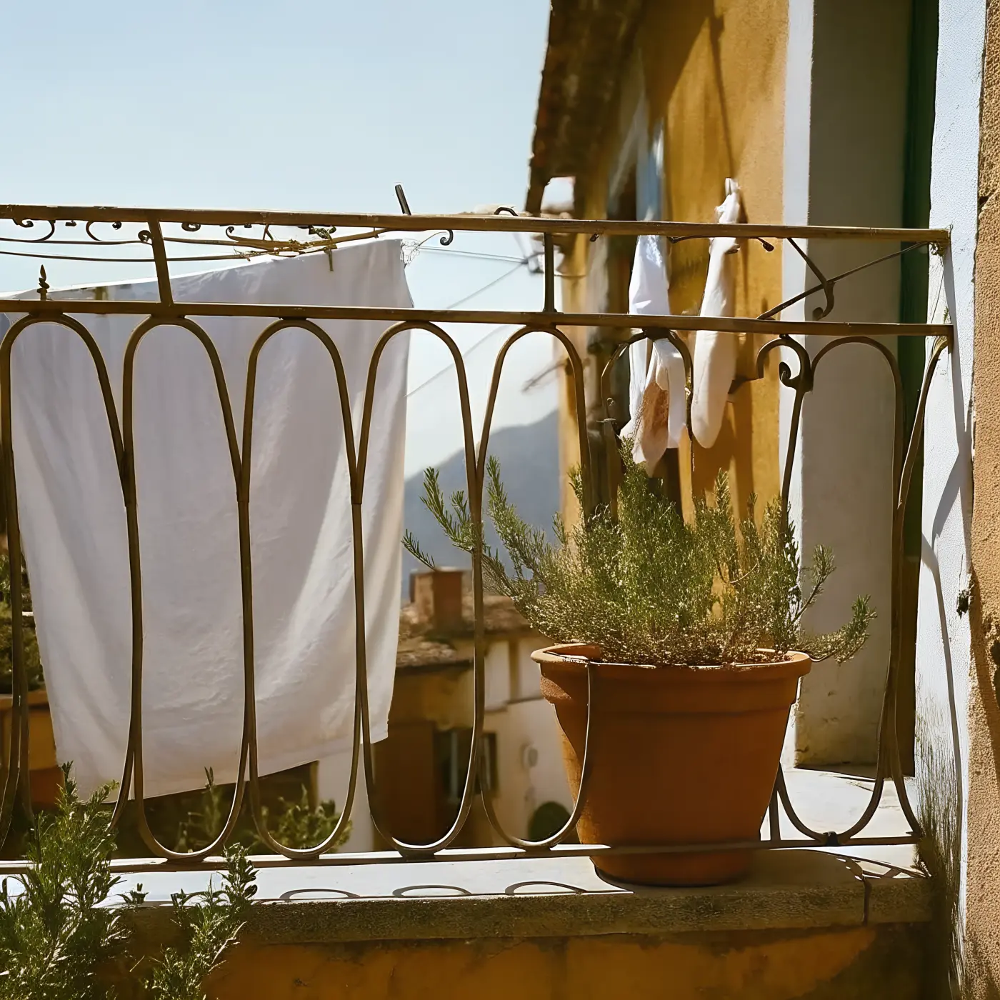 Sunlit balcony with drying linen and a potted herb